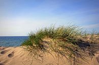 Farbenfrohe Dünen von Ostsee Bilder Miniaturansicht