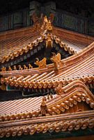 Dach der Verbotenen Stadt in Peking mit schönen dekorativen Ornamenten