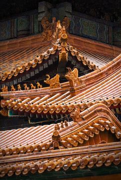 Dak van de Verboden Stad in Beijing met mooie decoratieve ornamenten van Chihong