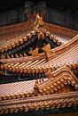 Dak van de Verboden Stad in Beijing met mooie decoratieve ornamenten van Chihong thumbnail