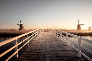 Brücke mit Mühlen bei Kinderdijk im Holland von Claire Droppert