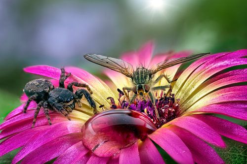 Eat first, drink later?