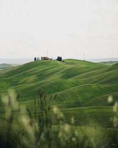 Val D'Orcia in der Toskana von Dayenne van Peperstraten