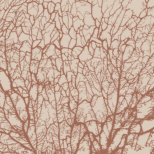 L'âme de la forêt
