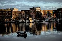 Morning light on the quay