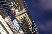 The Rotterdam