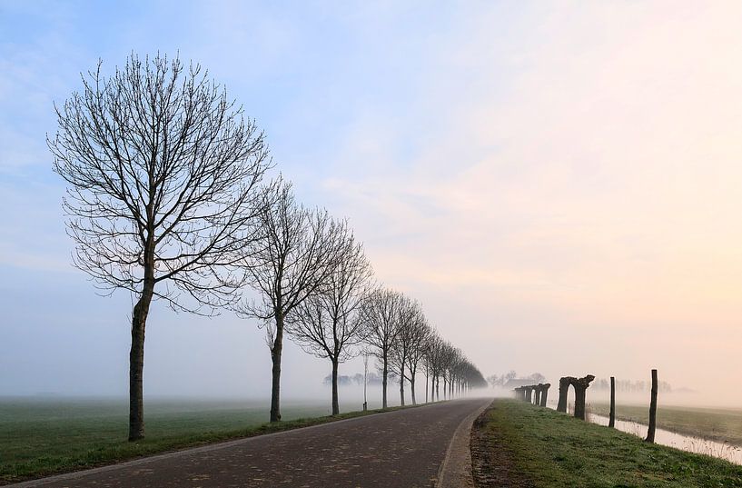 Bomenrij bij een opkomende zon par Piebe van den Berg