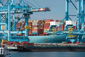 Estelle Maersk ein Containerschiff wird im Hafen von Rotterdam entladen