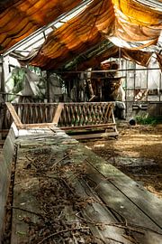 The lurking monster - The greenhouse in the eye of nature's creature by Infinite Decay