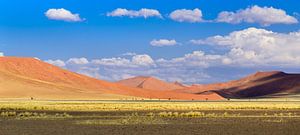 De uitgestrektheid van Namibië van Denis Feiner