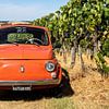 Fiat 500 dans un vignoble (8) sur Jolanda van Eek en Ron de Jong
