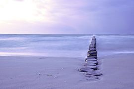 Groyne in Zingst aan de Oostzee. De kribben reiken tot in de zee. Landschapsfoto van Martin Köbsch