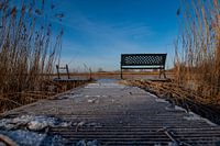 Bankje aan de Vecht