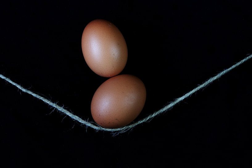 Eggs in balance by Johanna Oud
