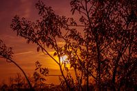 horizon du ciel rouge du soir