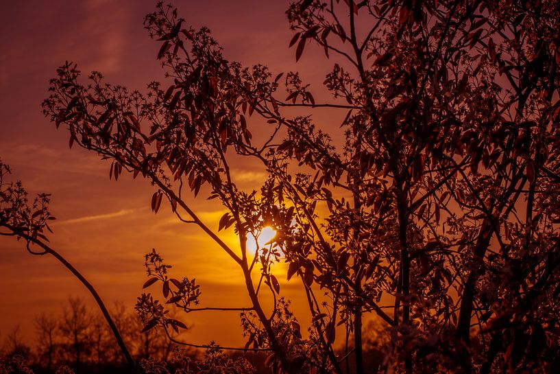 Abendroter Himmel Horizont von Frank Ketelaar