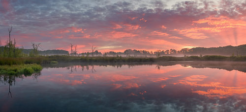 A panoramic view of the small fen near Appèlbergen in the province of Groningen