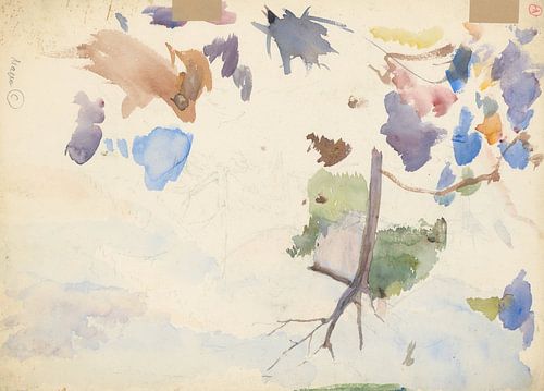 Studie van bergbloemen, Ladislav Mednyánszky