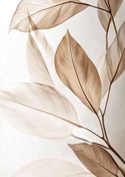 Floating leaves in a dreamy silence by Color Square