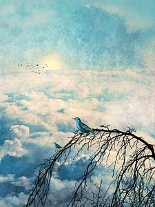 HEAVENLY BIRDS III-B2