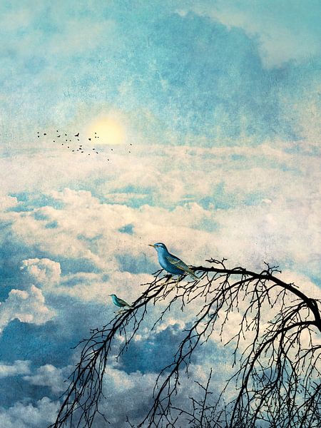 HEAVENLY BIRDS III-B2 von Pia Schneider