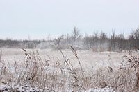 Winterlandschaft