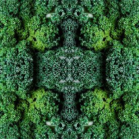 Kale by Christianne Keijzer