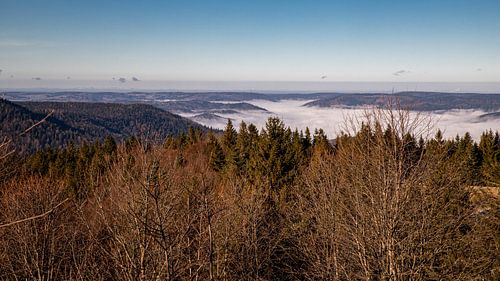 Vue sur la vallée de la Moselle dans la brume