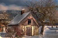Fairytaily House...