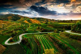Vue sur Oberbergen dans le Kaiserstuhl sur Jürgen Wiesler