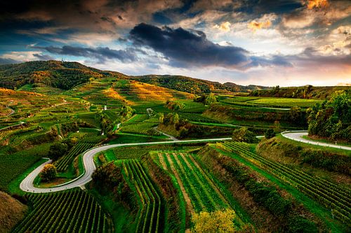 Uitzicht richting Oberbergen in de Kaiserstuhl van Jürgen Wiesler