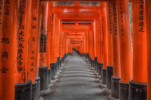 Portes Torii