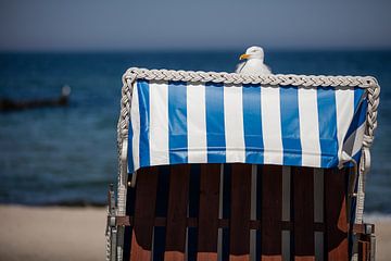 Mövenpause van Andreas Müller