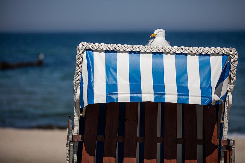 Mövenpause van Andreas Müller