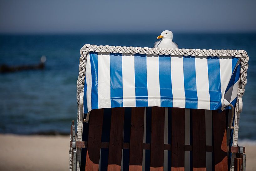 Mövenpause von Andreas Müller