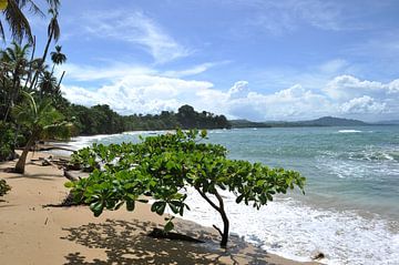 Costa Rica by Olga Milady Dignum