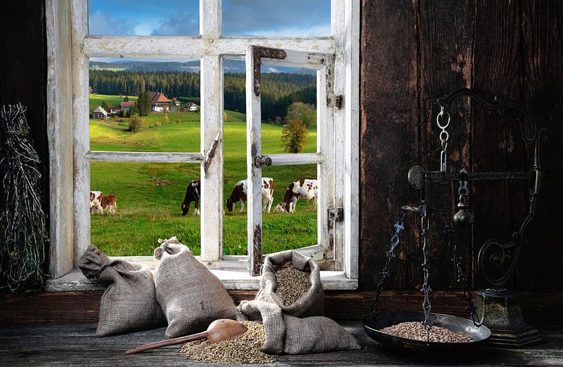 Vue de la fenêtre par Jürgen Wiesler