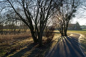 Auf dem Weg durch die schlafende Natur 1