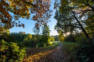 Herbst im Arboretum Poort Bulten! von Photo Joost