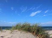 Sandwellen von Ostsee Bilder Miniaturansicht