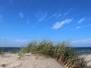 Sandwellen van Ostsee Bilder