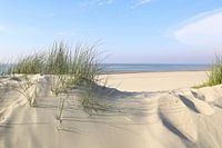 Baltrum , dunes and sea