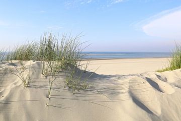 Baltrum , dunes and sea by Ursula Reins
