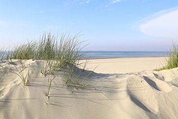 Baltrum  ,  Dünen und Meer von Ursula Reins