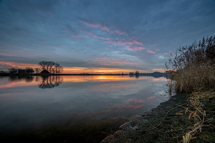 A surprising morning by Wesley Kole