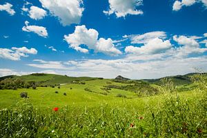 Tuscany hills van Laura Vink