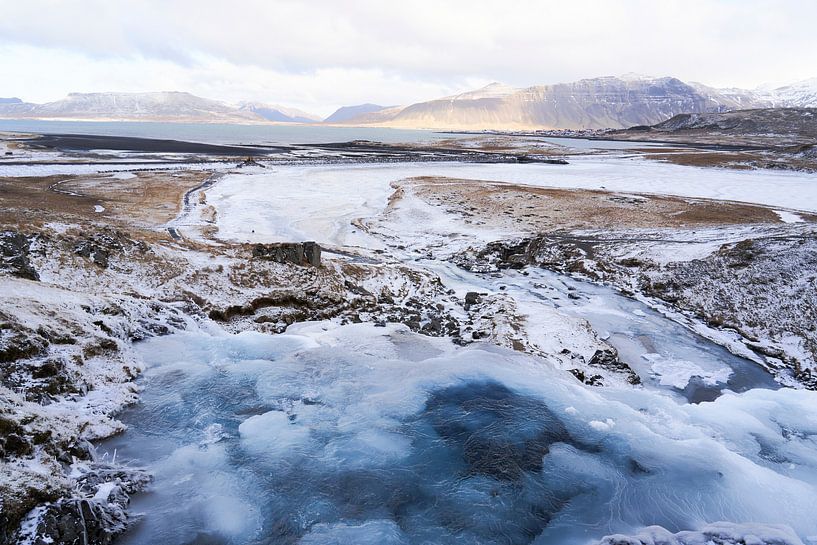 Isländischer Frosch von Jim Plaum