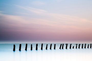 Wadden Sea. by AGAMI Photo Agency