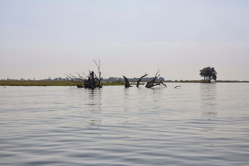 Okavango Delta is one of the seven natural wonders of Africa Botswana by Tjeerd Kruse