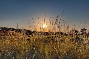 Zonsondergang in Gaasterland met hoog gras op de voorgrond van Harrie Muis